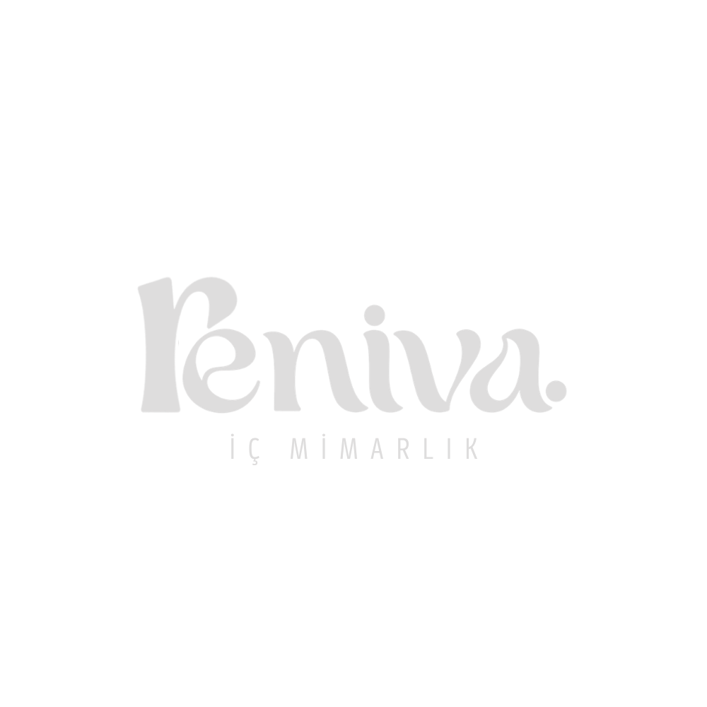 RENIVA